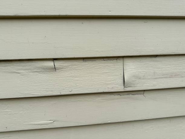 Affordable Siding Repair and Maintenance Services in Olympia, WA